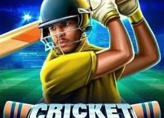 Cricket Heroes спортивный симулятор, геймплей за матч